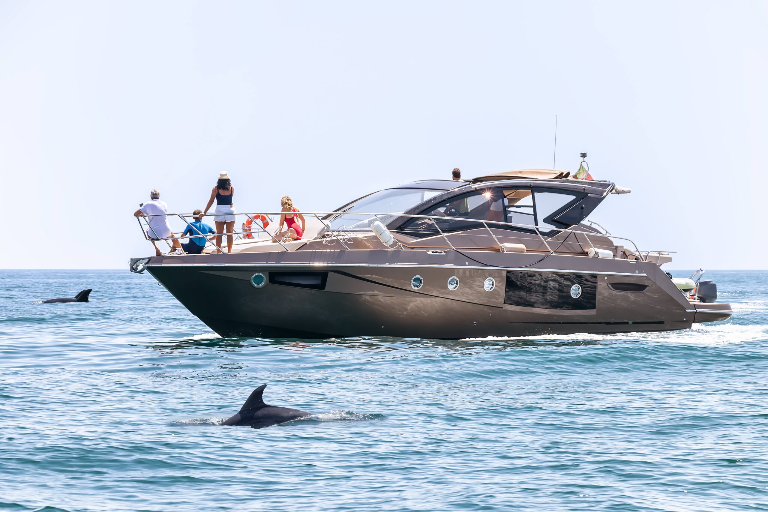 People aboard a luxury yacht watching dolphins, Lagos, Algarve, Portugal